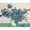 Irises