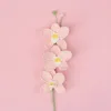 Rami di orchidea rosa-tre con farfalle
