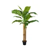 Verde-5