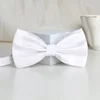 White mesh bow tie