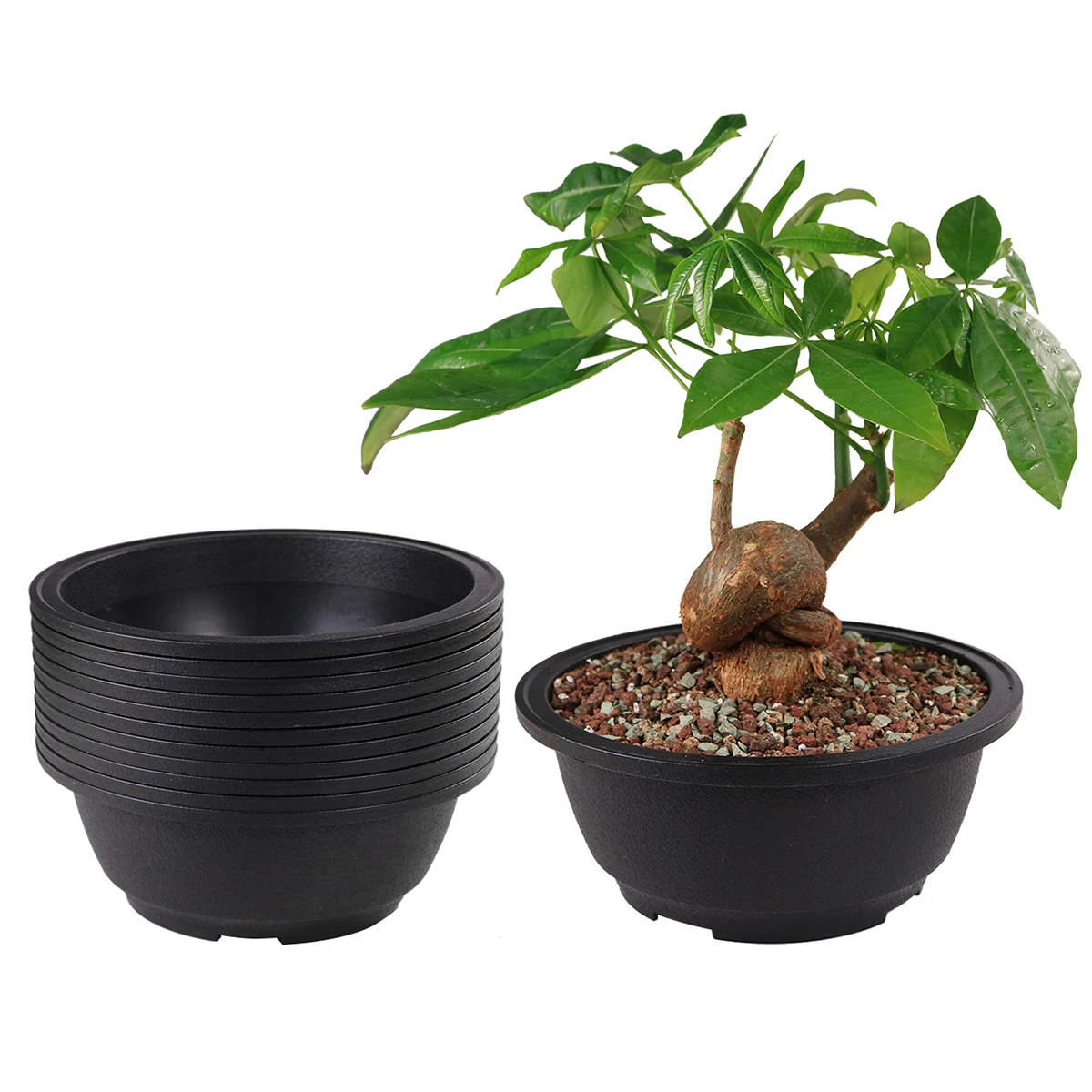 Wholesale Black Round Flower Bonsai Bowl Planter Pot With Drainage Plastic Garden Shollow Low Planter Pots With Mesh Pot Bottom Buy Bonsai Planter 8 Inch Succulent Pot Wholesale Plastic Pot Product On Alibaba Com