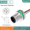 M12-B-5P male PG9