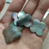 Guscio grigio