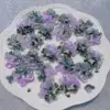 Hortensia-29mm de diamètre