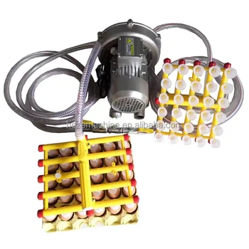 イン卵様 イン卵様 卵シリーズ (ゆるして)とは【ピクシブ百科事典】