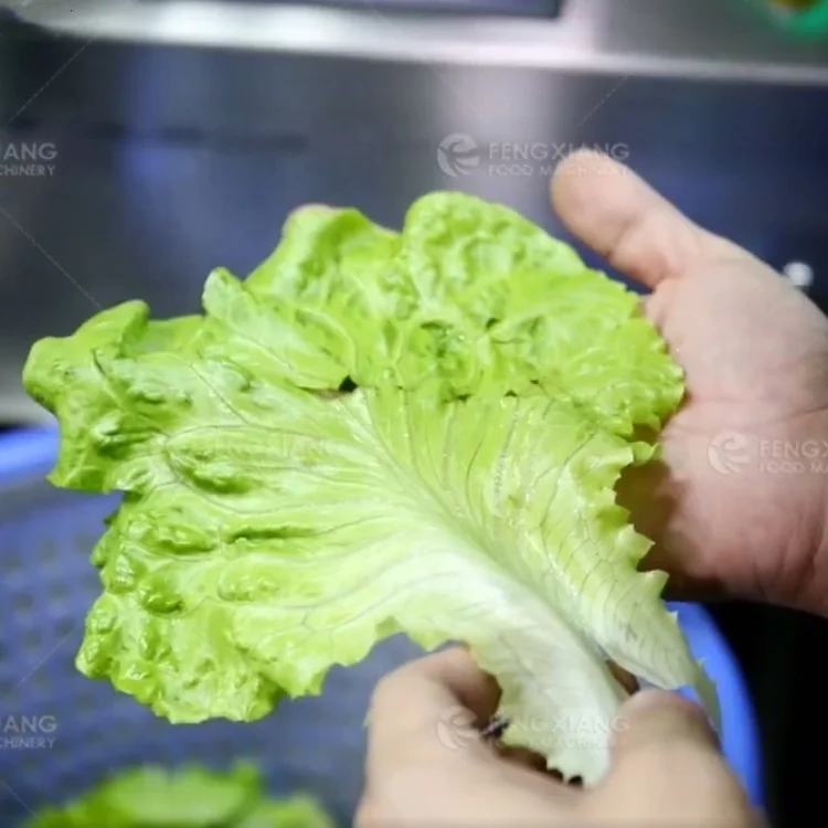 Commercial Spinner Type Cabbage Fruit Vegetable Centrifugal Dehydrator Machine