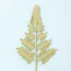 Snow five ferns-yellow and green