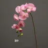 Pink1