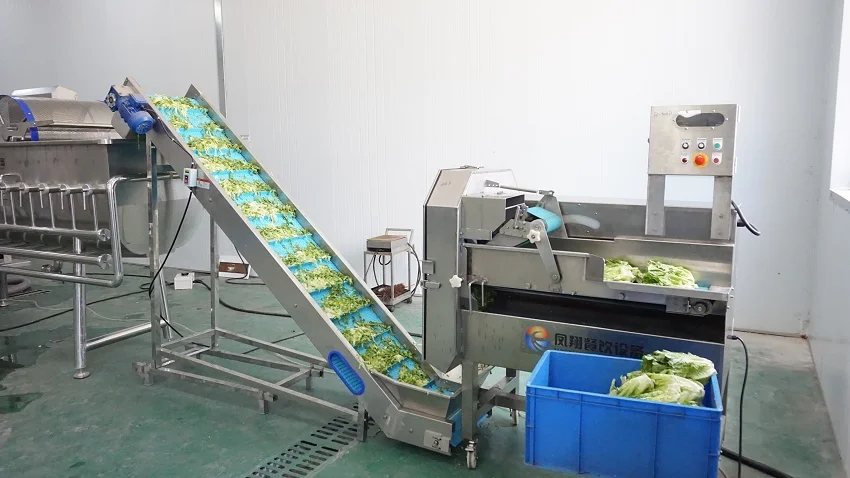 Salad Vegetable Production System Industrial Vegetable Washing Cutting Drying Processing Line