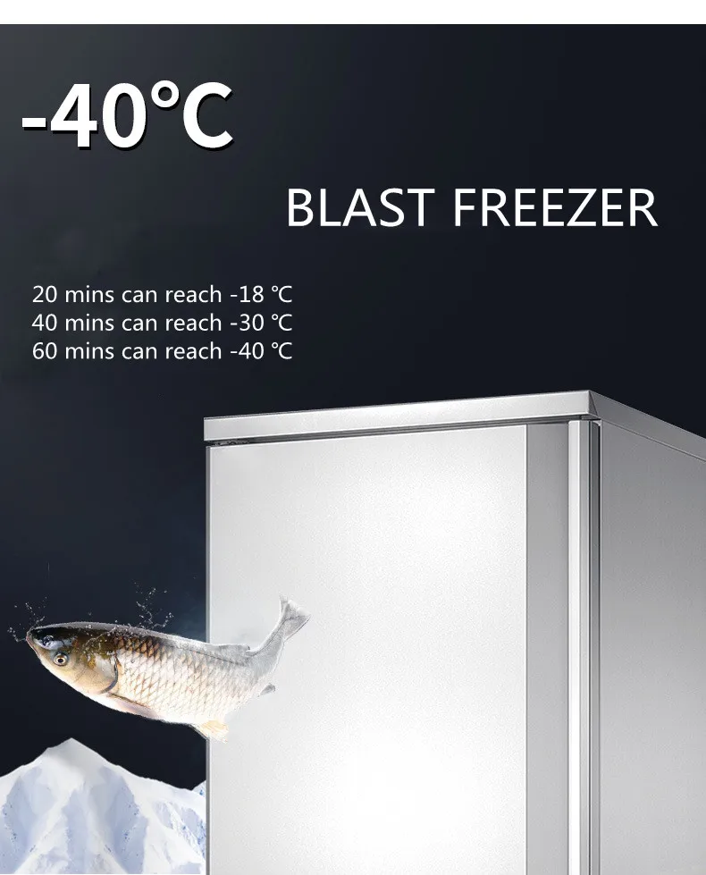 Kitchen Used Shock Freezer, Stainless, 110-220V, Fast freezing - detail 8