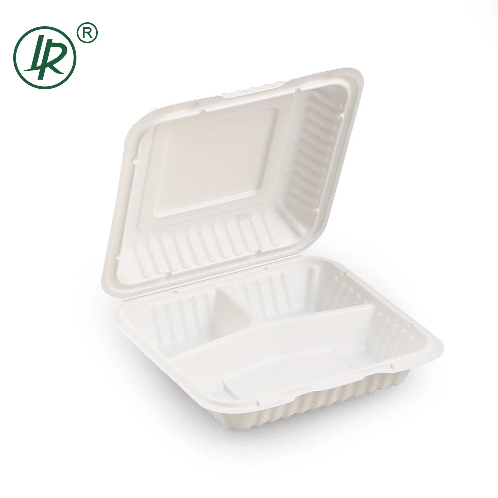 Restaurant Supply to Go Disposable Biodegradable Take Away Containers Food Packaging Take Out Box for Selling