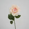 สีชมพูพีช
