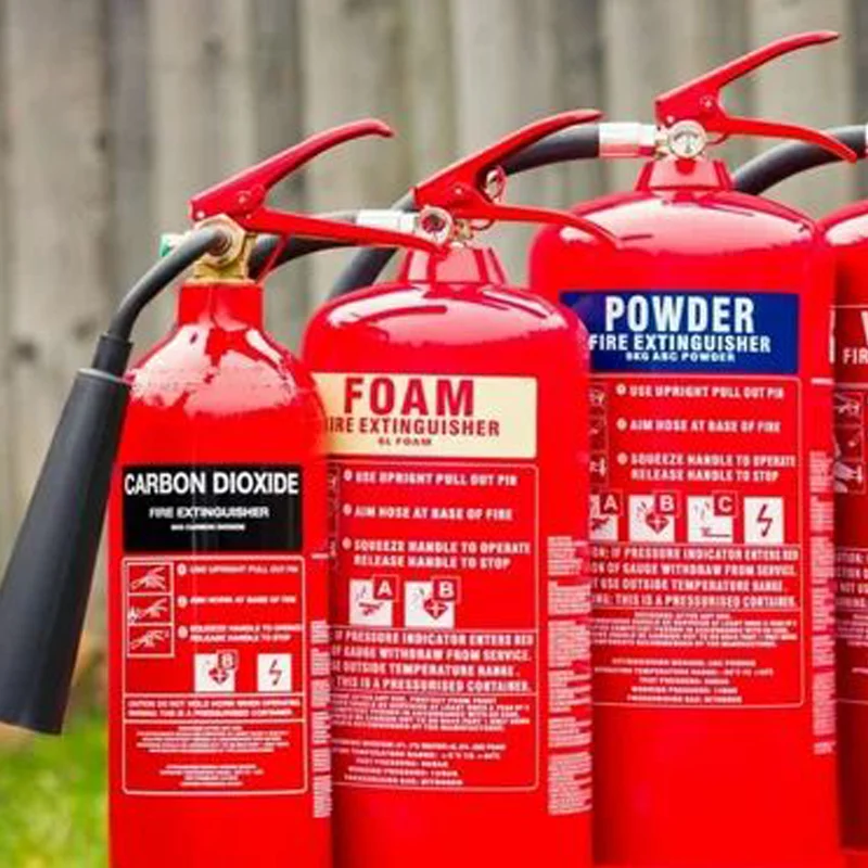 America Fire Extinguisher for Vehicle Small Space Supplier Eversafe 0.5kg Dry Powder 4 Kg Abc Price of 5kg 6kg Best 150 Lbs