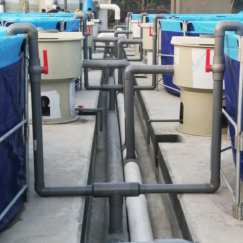 Aquaculture Ras System Salmon Aquaculture Ras for Aqua Fish Farming