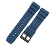 Blue-black buckle