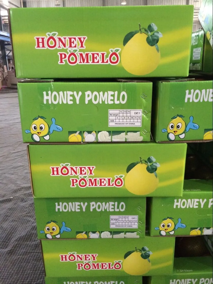 2020 new crop fresh honey pomelo