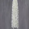 2 orchid clusters, creamy white