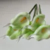สีเขียว