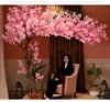 Pink  4