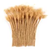 613 #