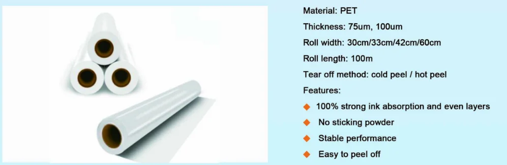 High Quality Cold Hot Peel Printing Film 75 Micron 33cm X 100cm  60cm X100m Pet Dtf Film Roll for Heat Transfer Printer manufacture