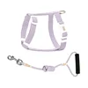 Primrose purple