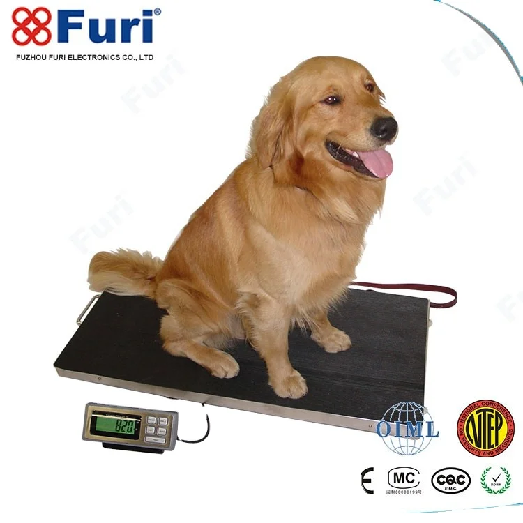 FCW-G animal weighing glass pet scale weighing dog from China manufacturer  - Fuzhou Furi Electronics Co., Ltd.