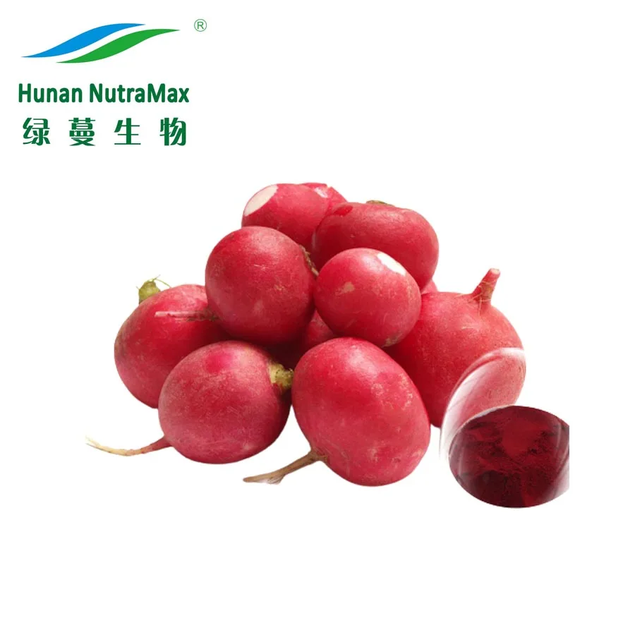 High Quality Turnip Seed Extract Radish Seed Powder Radish Seed Extract