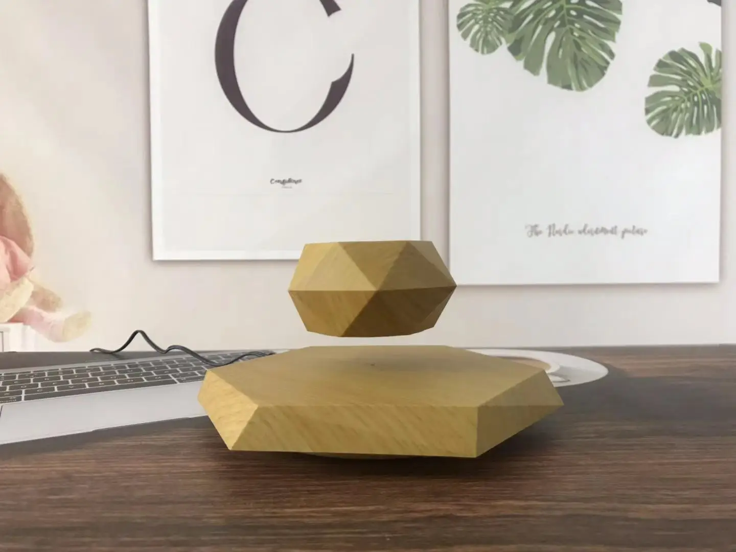 Levitating Bonsai Wooden Floating Plant Levitation