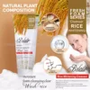 rice wheat