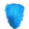 colore-7