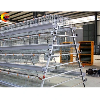 Poultry Farming Bird Farm Equipment Poultry Cages A Type Battery Layer Chicken Cages for 10000 Layer Chickens Farm