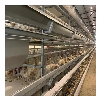 Hot Dip Galvanized Battery Poultry Farm a Frame Manual Layer Chicken Cage Multifunctional Provided Chicken Nesting Herbs Pack