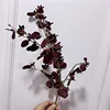 burgundy 3