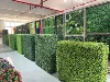 stile foglia verde più