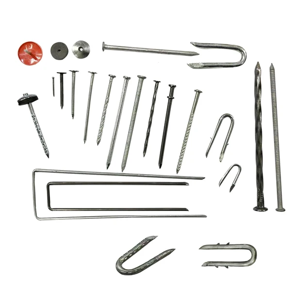 Various models of iron nails