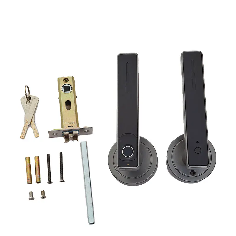 Electronic Fingerprint Smart Handle Keyless Opening Door Lock With Digital Door Lock Fingerprint