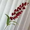 5 #