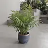 ผสมสี
