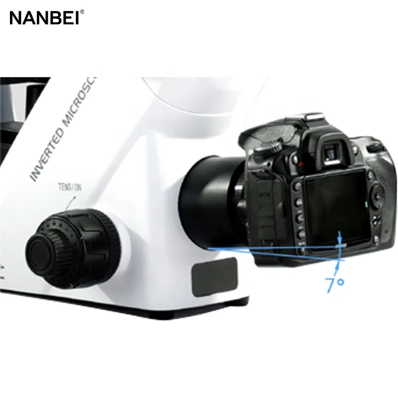Phase Contrast Microscopy to View GFP, RFP, and BFP Inverted Fluorescent Microscope