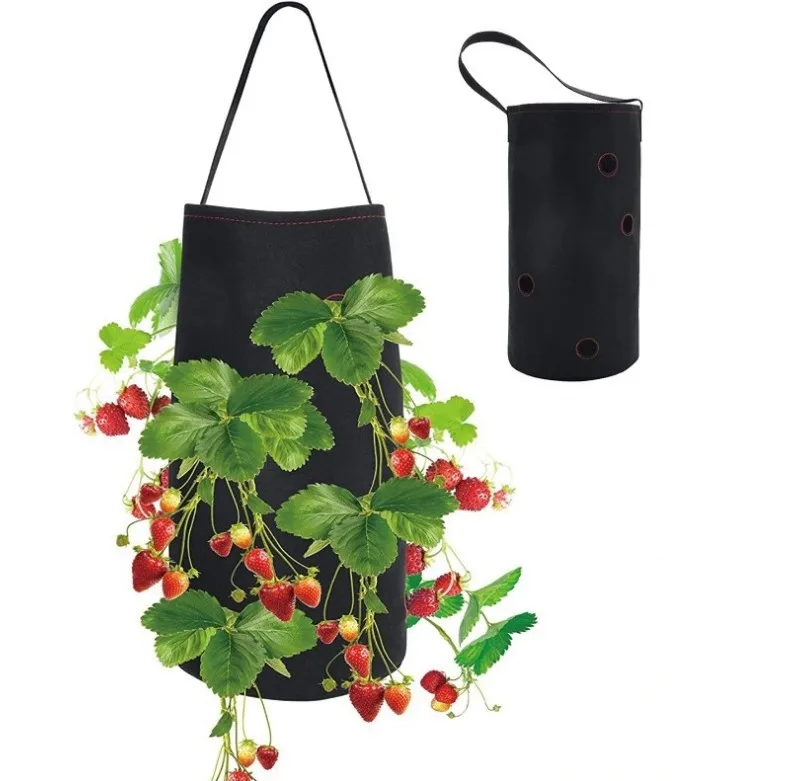 grow bag (2).JPG