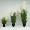 03-สีสันแห่งฤดูใบไม้ผลิ
