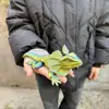 Petit or bleu (22,5 cm)