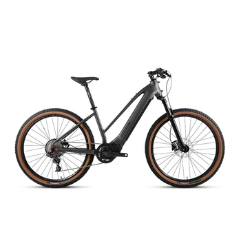 Step through  48V 500W mid drive electric mountain city bike ebike emtb electric for woman lady