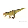 Hornnose Dragon-0009