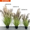 Green leaf natural reed