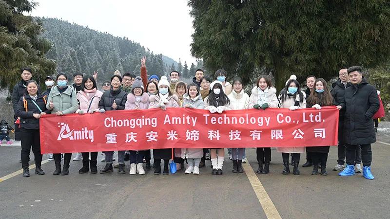 Chongqing Amity Technology Co.. Ltd. 1