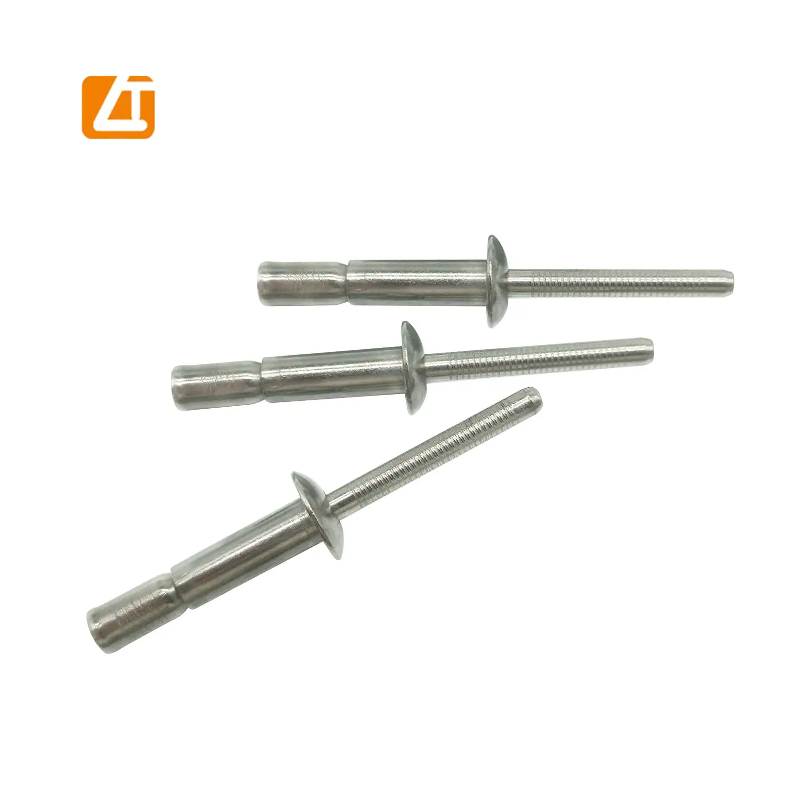 Din7337 Customized Fasteners Blind Rivet Pop Rivet Structural Stainless