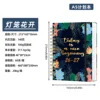 Lantern flowers bloom-2627