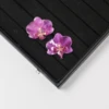 Viola 05